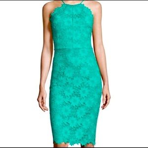 Bisou Bisou Jade Lace Halter Fitted Dress